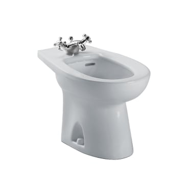 Bidet Toilet