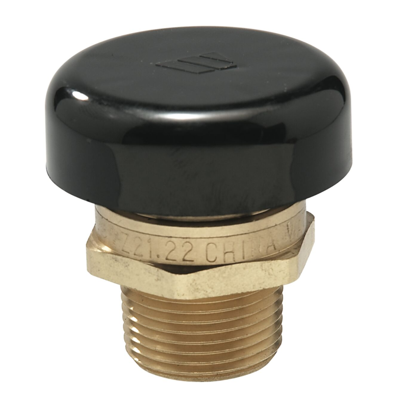 Watts N36 3/4"  Vacuum Relief Valve 0138516