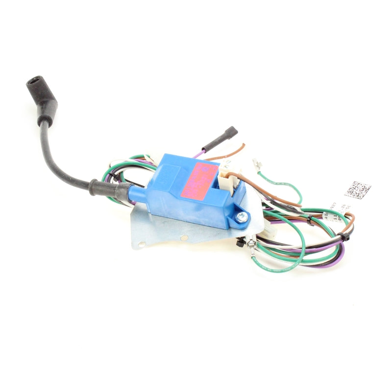Triangle Tube PTRKIT305 Replacement Updated Control Module & Igniter Kit for Prestige PT250