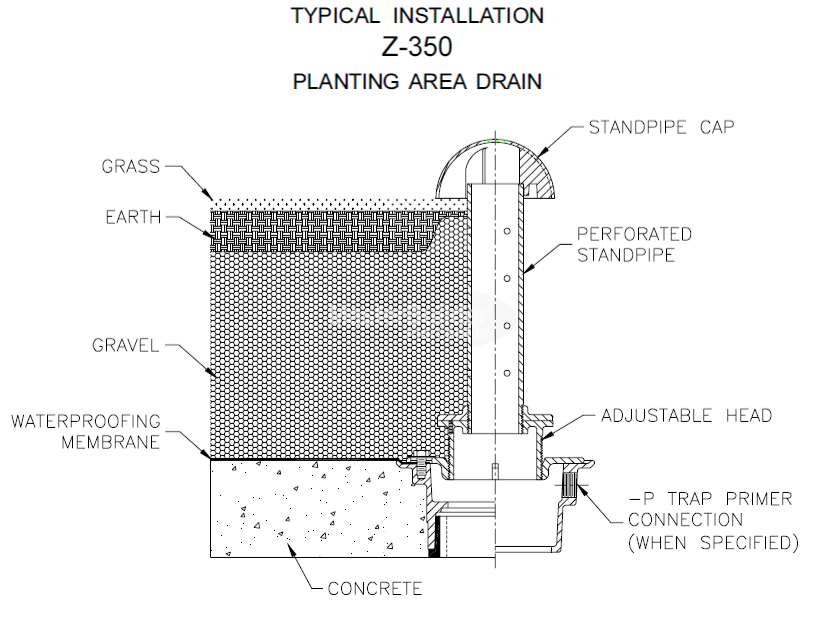 Zurn Z350 | ZB350 | ZN350 Planting Area Drain, Bronze Dome, Stainless Standpipe, Adjustable w/ Clamp Collar